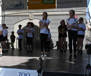 Plzeňský festival stepu 2022 05/22